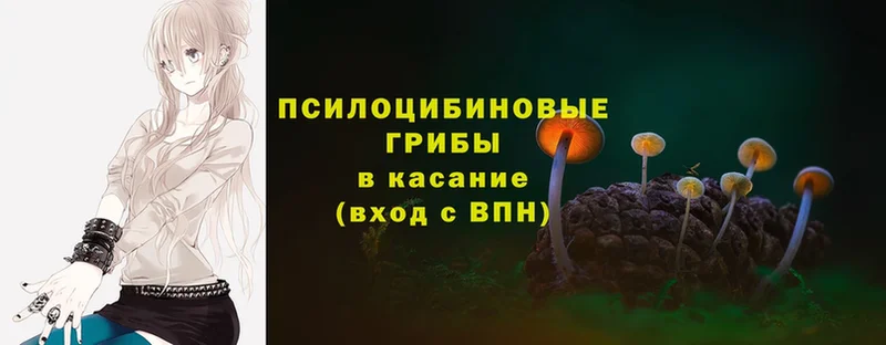 как найти наркотики  Вилючинск  Галлюциногенные грибы Magic Shrooms 